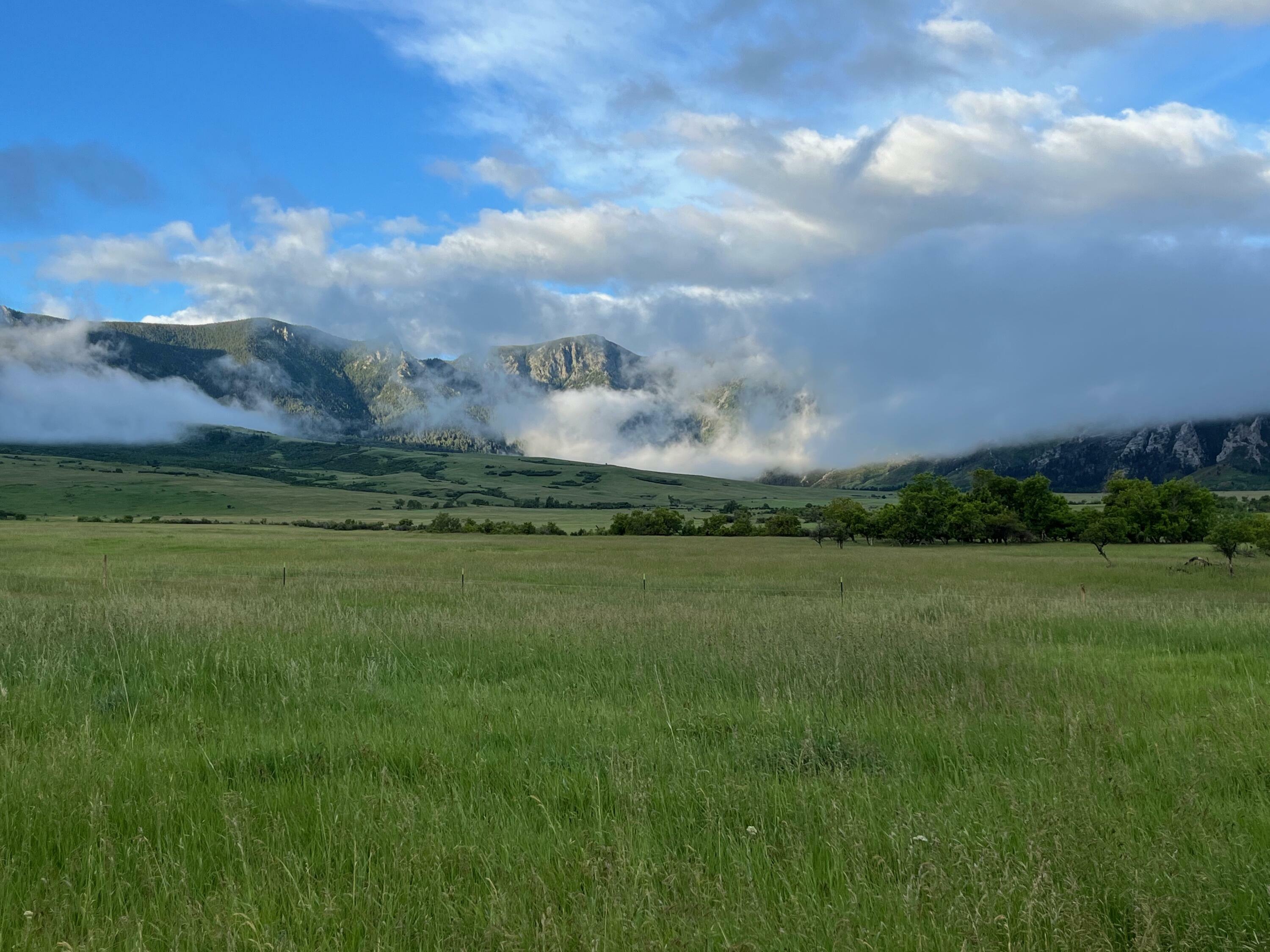 Property Photo:  40.6 Acres Canyon Ranch Road  WY 82833 