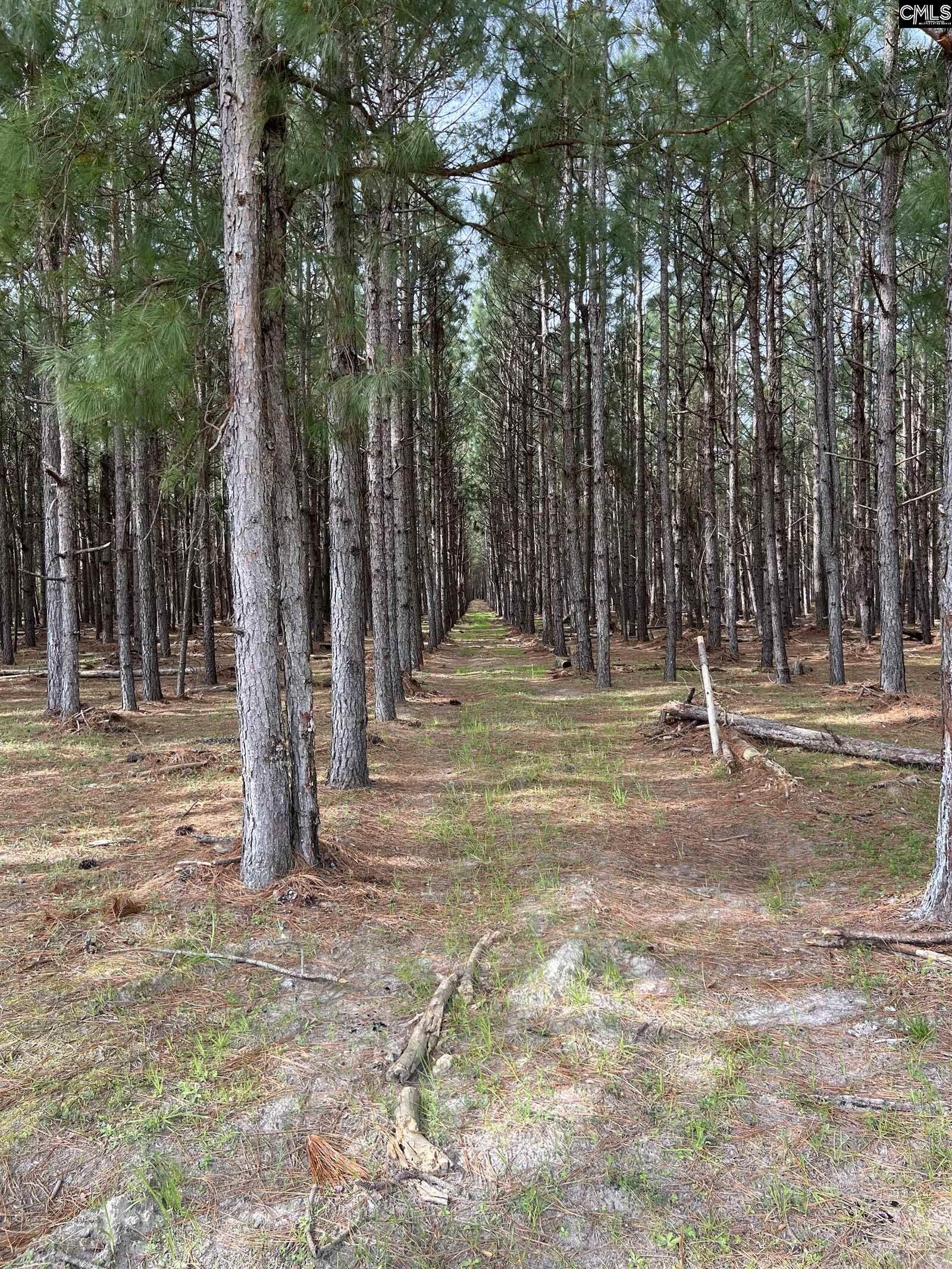 Property Photo:  5684 Moses Dingle  SC 29102 