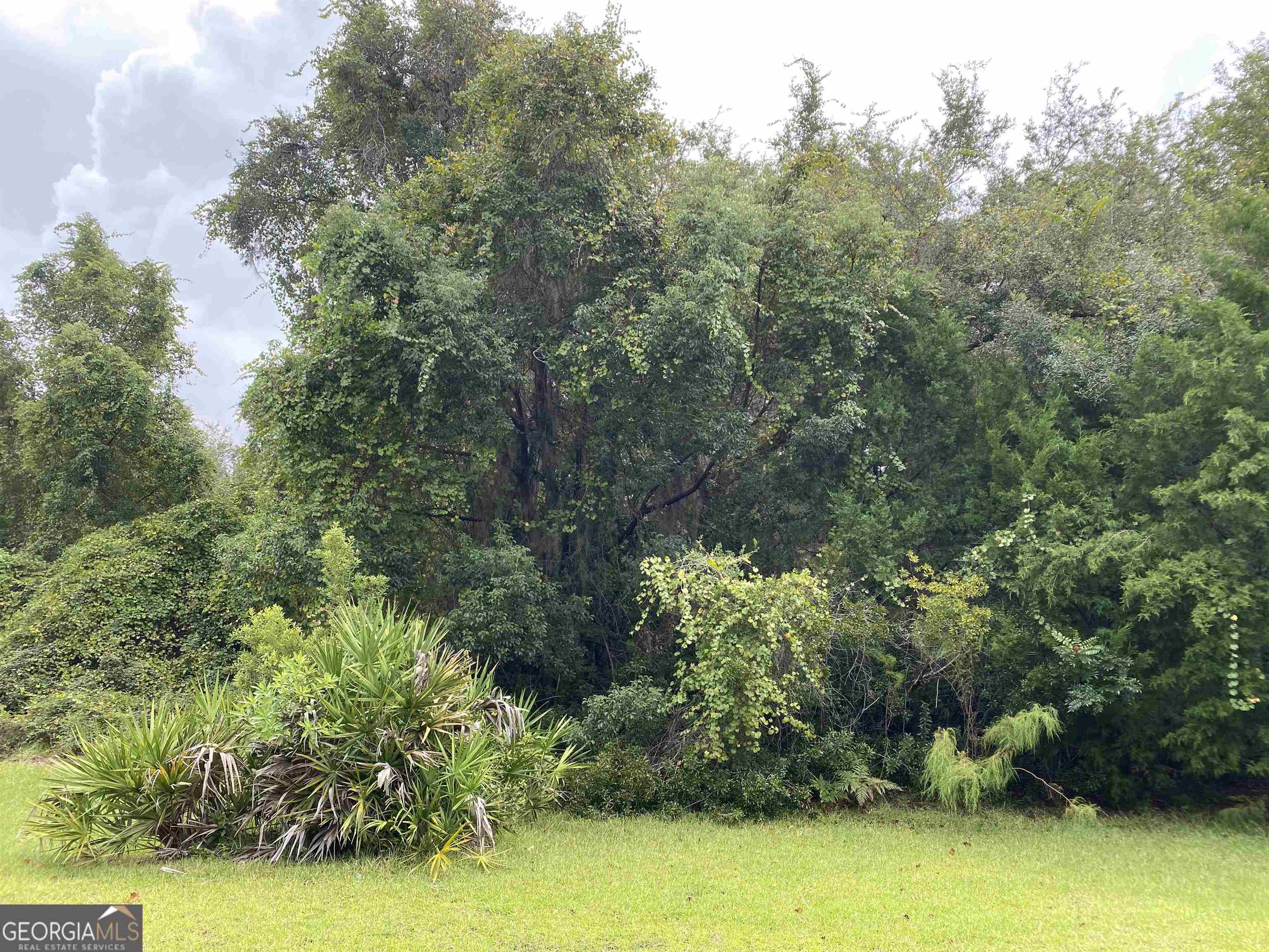 Property Photo:  V/L 519 Corner Of Campbell Pkwy &Amp Massias Lane  GA 31558 