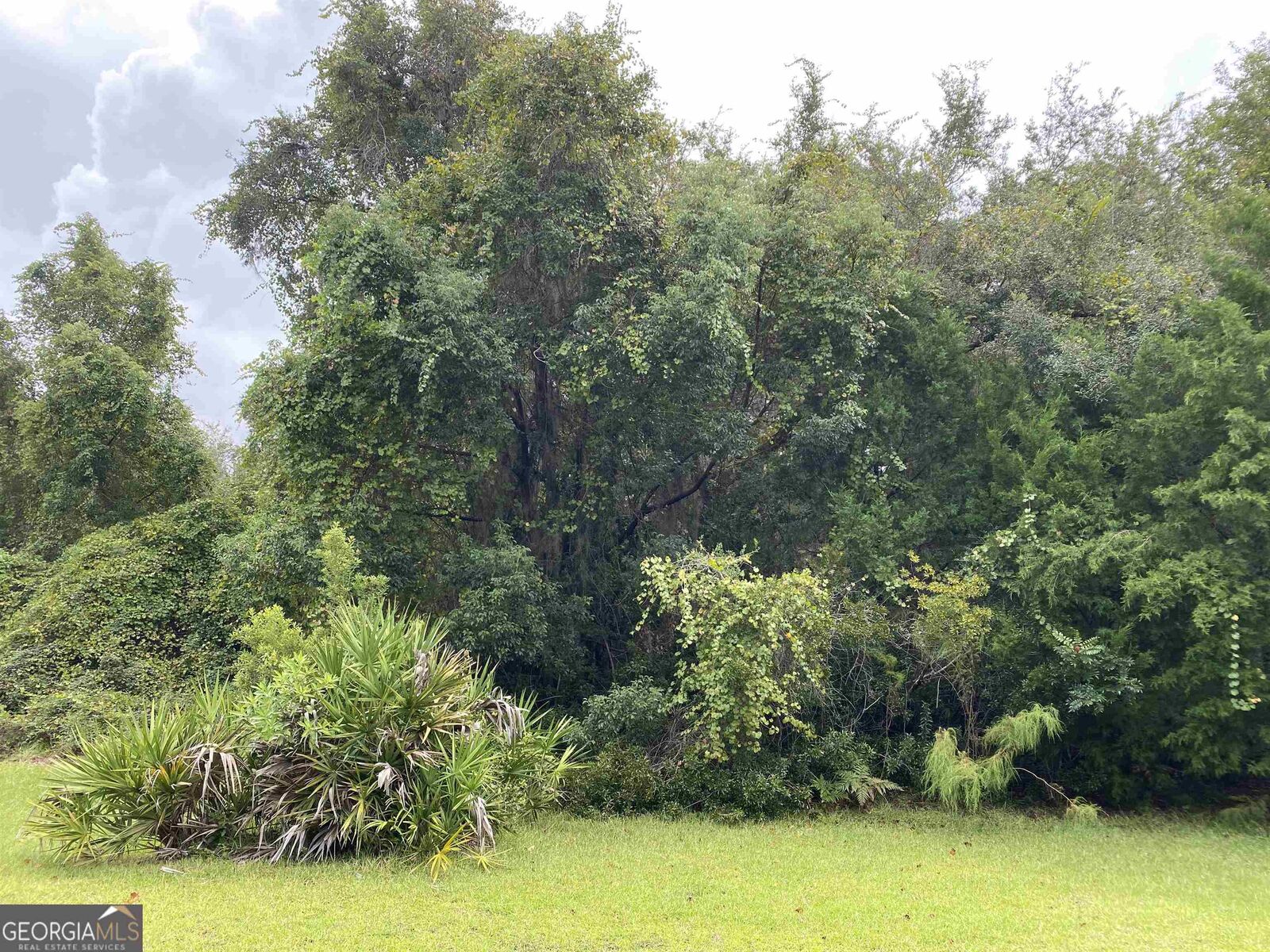 Property Photo:  V/L 519 Corner Of Campbell Pkwy &Amp Massias Lane  GA 31558 