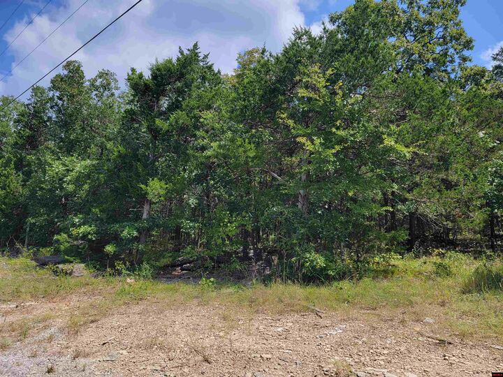 Lots 4 &Amp 5 Blk2 Norfork Lake Drive  Henderson AR 72544 photo