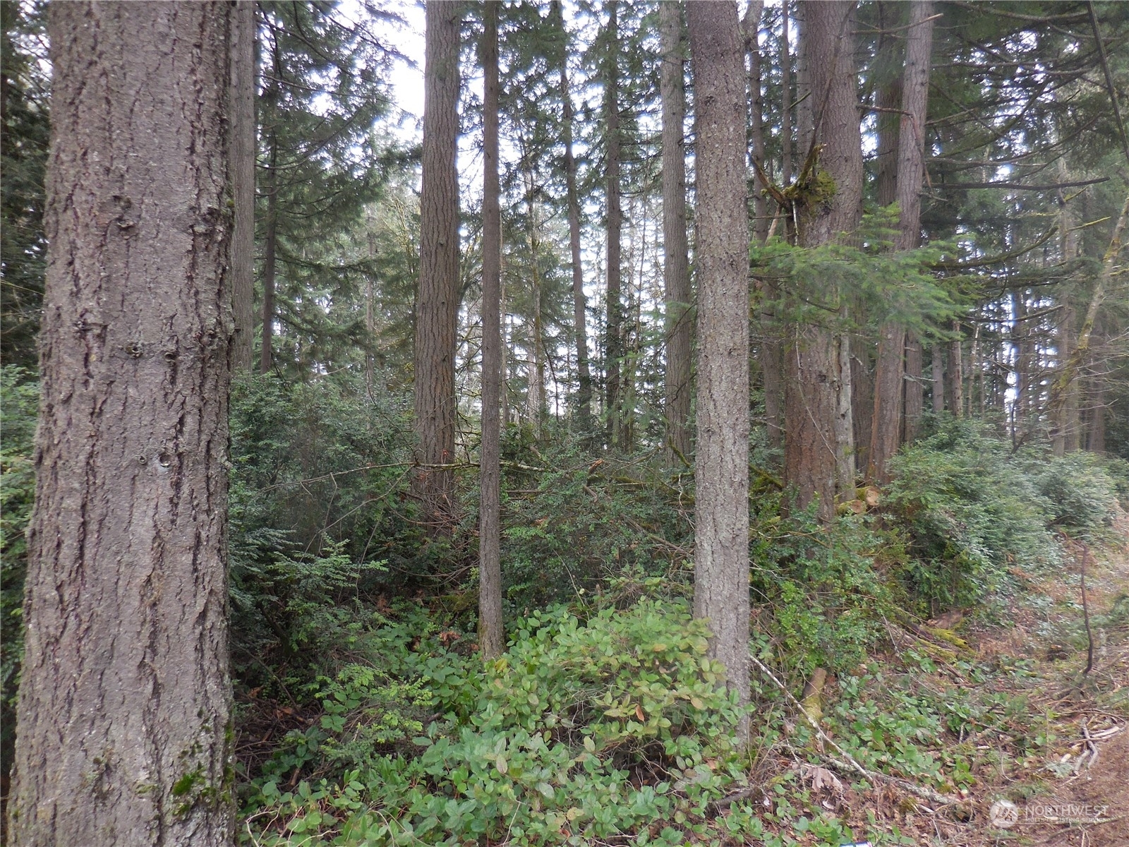 Property Photo:  0 Banner Road SE  WA 98367 