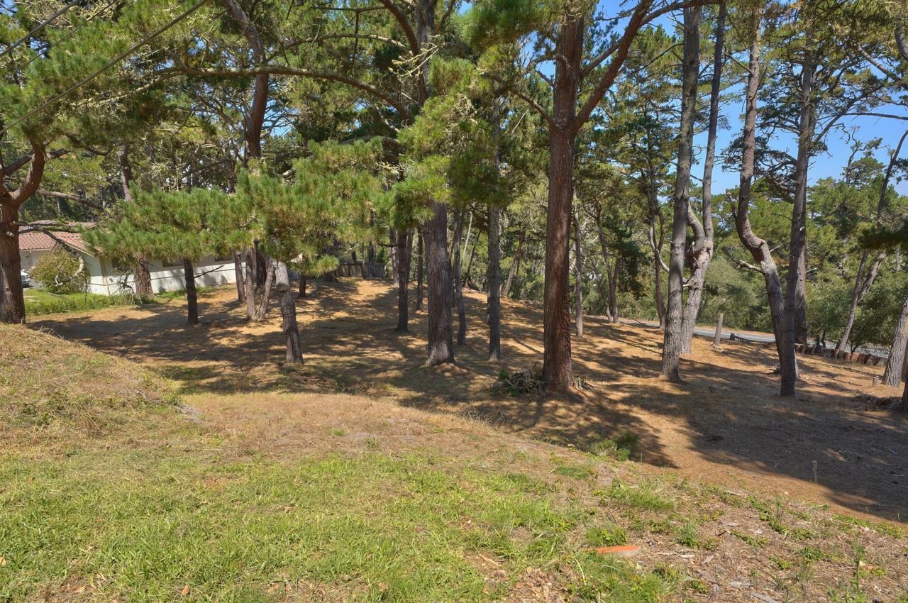 Property Photo:  4037 Costado Road  CA 93953 