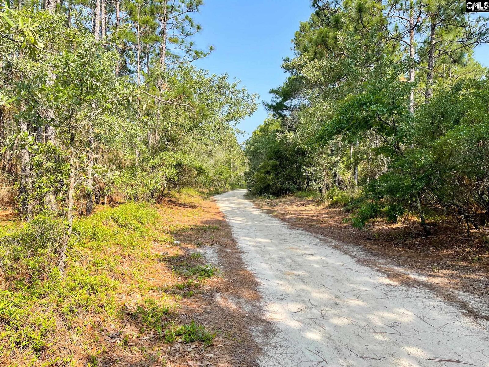 Property Photo: 131 Cassie SC 29070