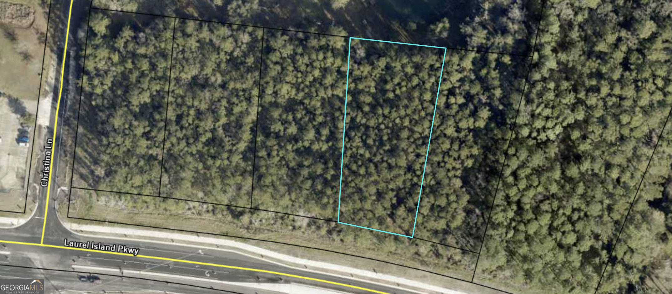 Property Photo: 5903 Laurel Island Parkway GA 31548