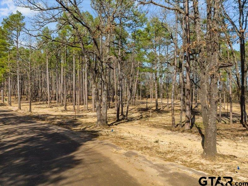 Property Photo:  Lot 4 County Road 2540  TX 75773 