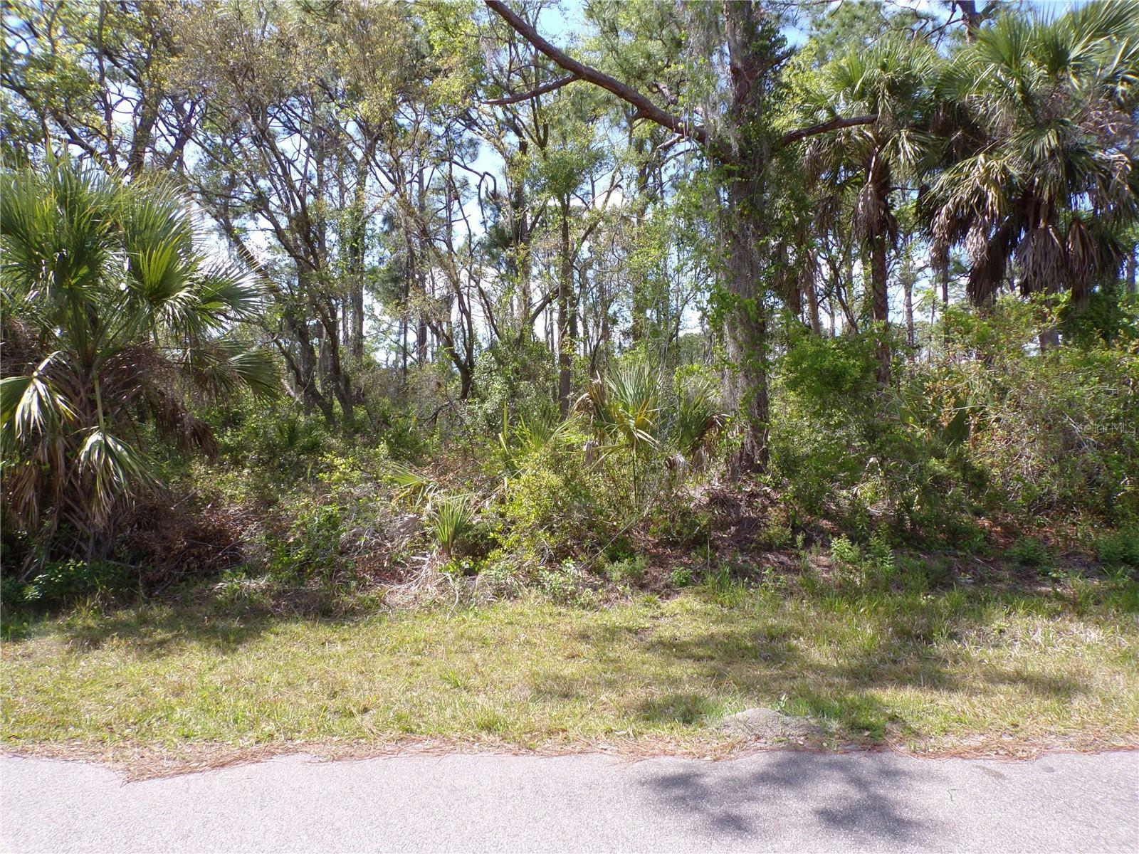 Property Photo: 1319 Friar Street FL 33953