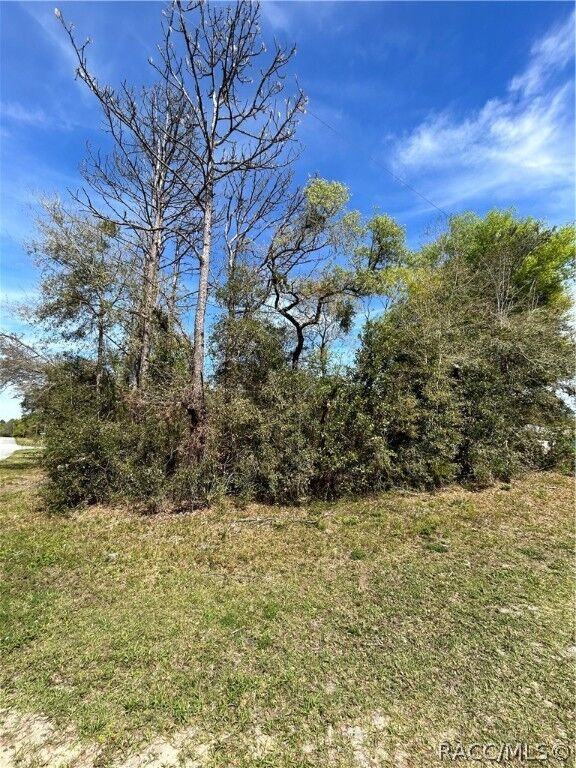 Property Photo:  2101 W Most Lane  FL 34434 