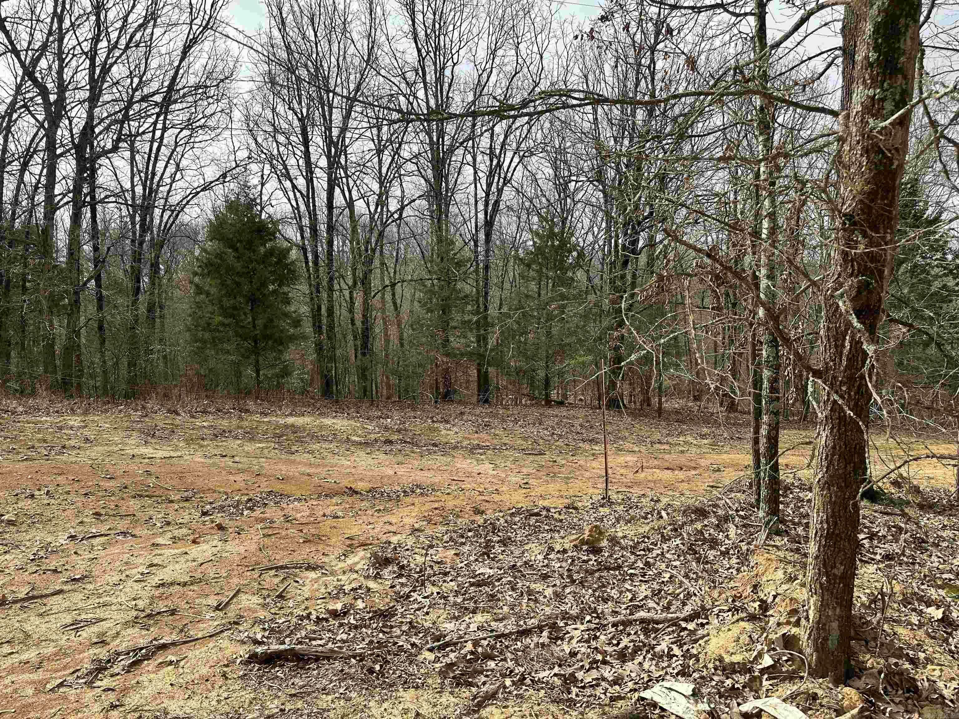 Property Photo:  Lot 4 Raby Road  AR 72432 