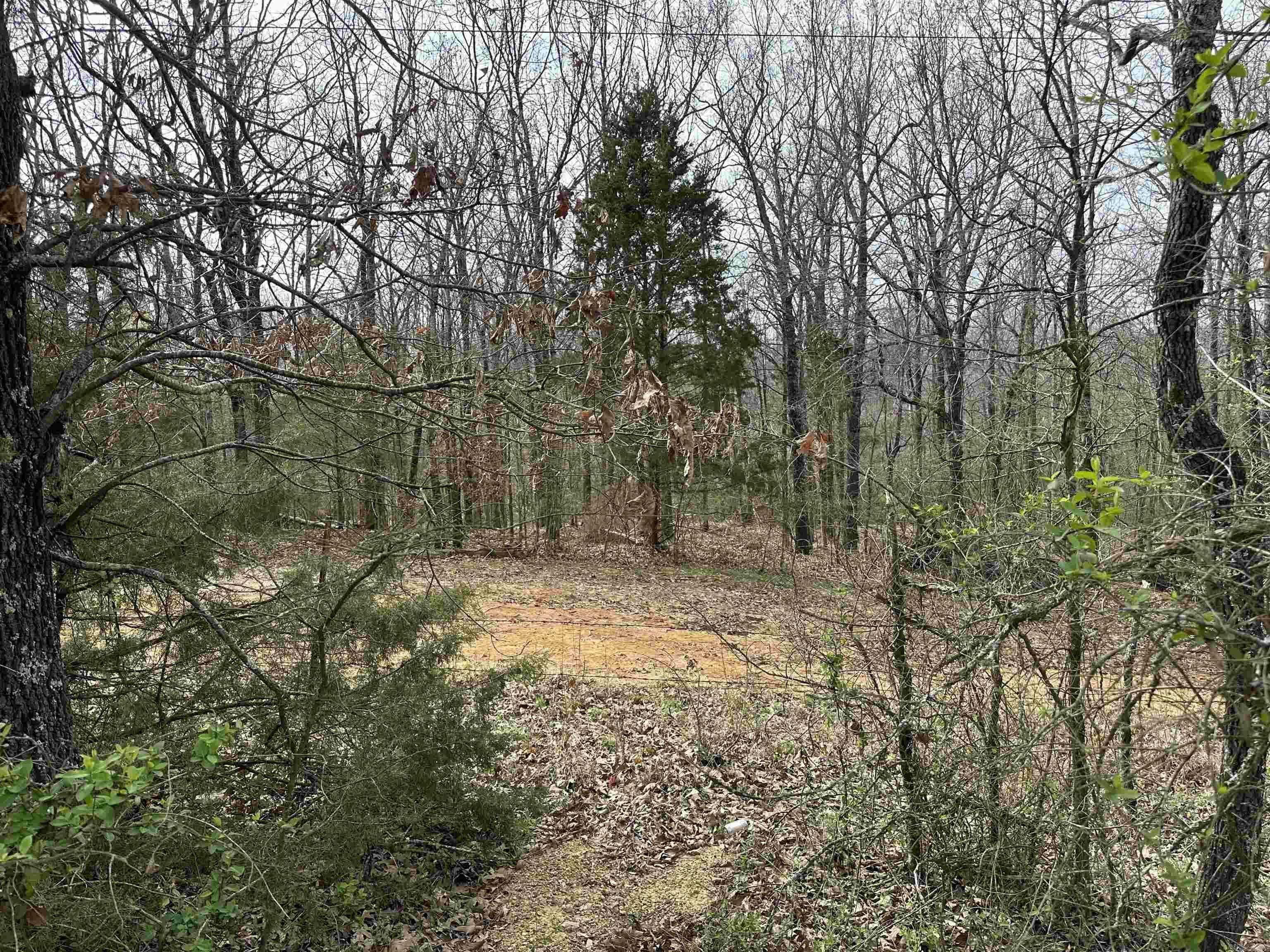 Property Photo:  Lot 3 Raby Road  AR 72432 
