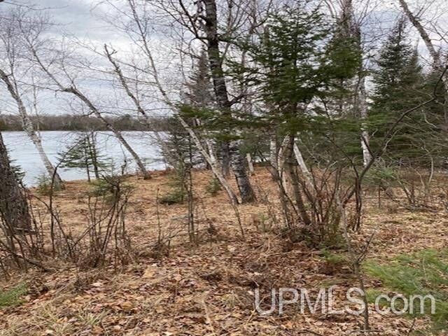 Lot 7 E East Maggie Point Road  Crystal Falls MI 49920 photo