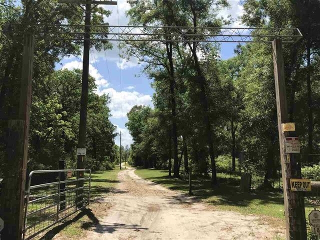 182 Ashley Hall Road  Crawfordville FL 32327 photo