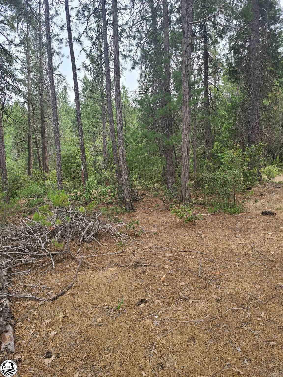 Property Photo:  22099 Hells Hollow Rd  CA 95321 