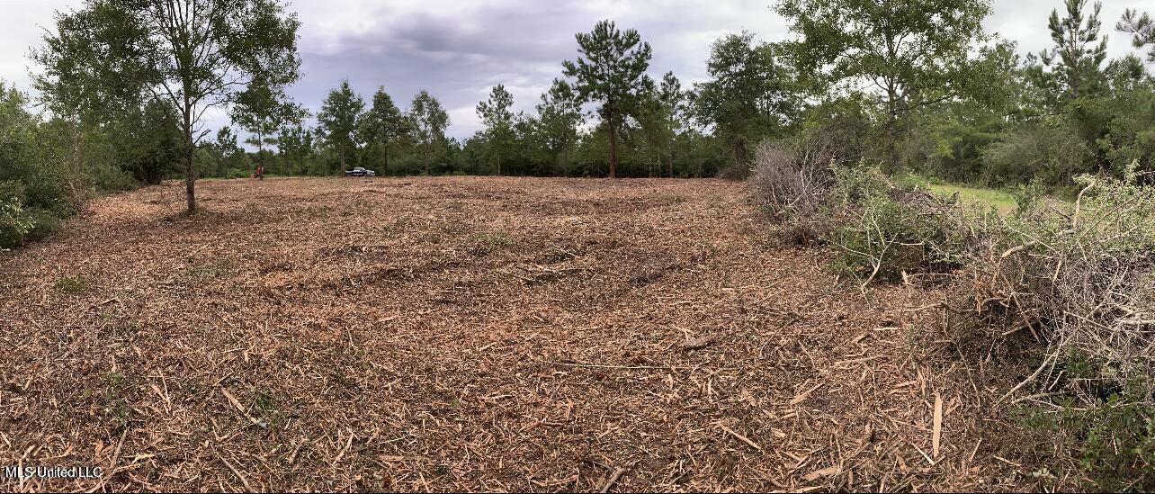 Property Photo:  Clear Lake Road  MS 39561 