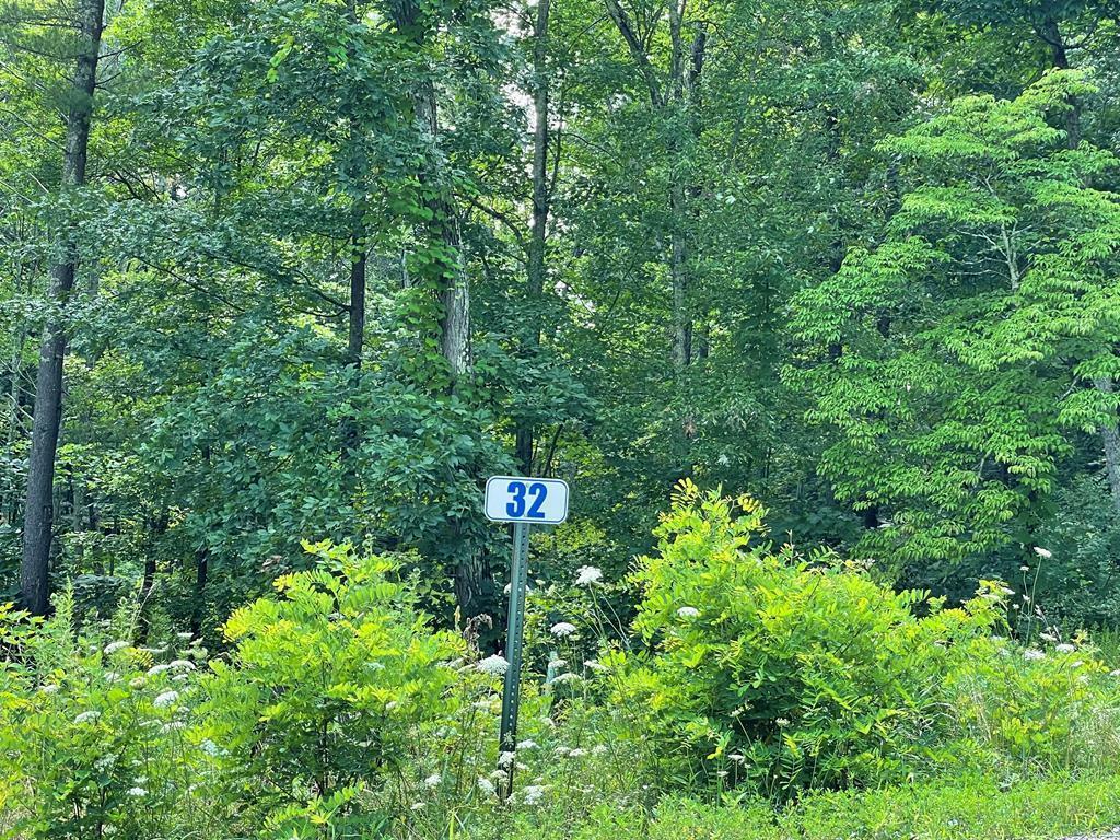 Property Photo:  Lot 32 Hemlock Hills Rd  PA 18848 