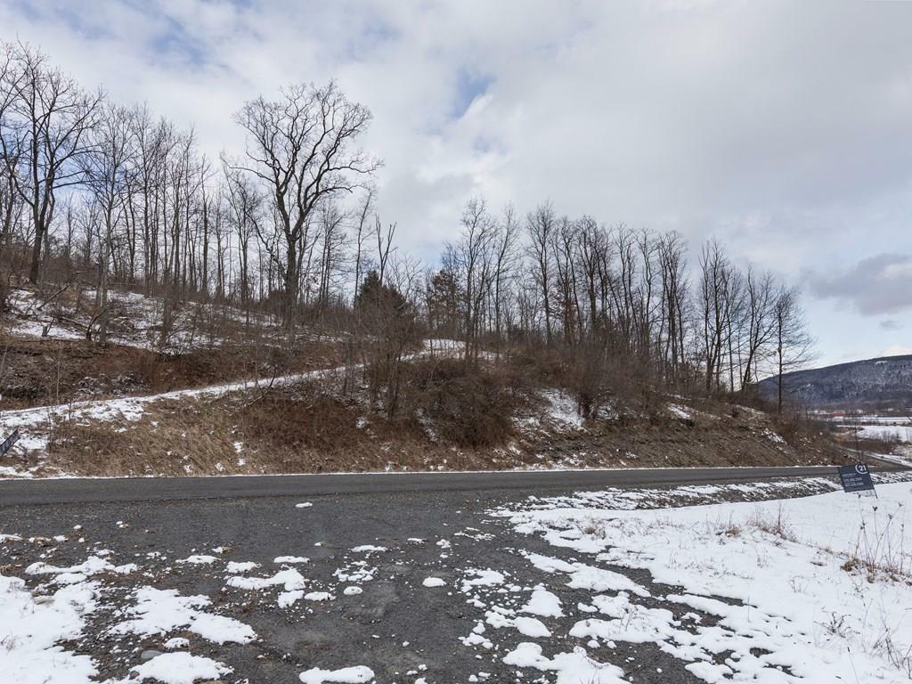 Property Photo:  Lot 1 Hemlock Hills Rd  PA 18848 