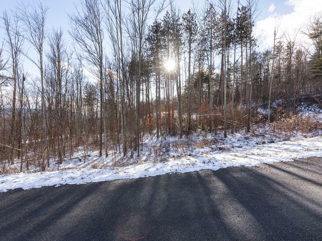 Property Photo:  Lot 29 Hemlock Hills Rd  PA 18848 