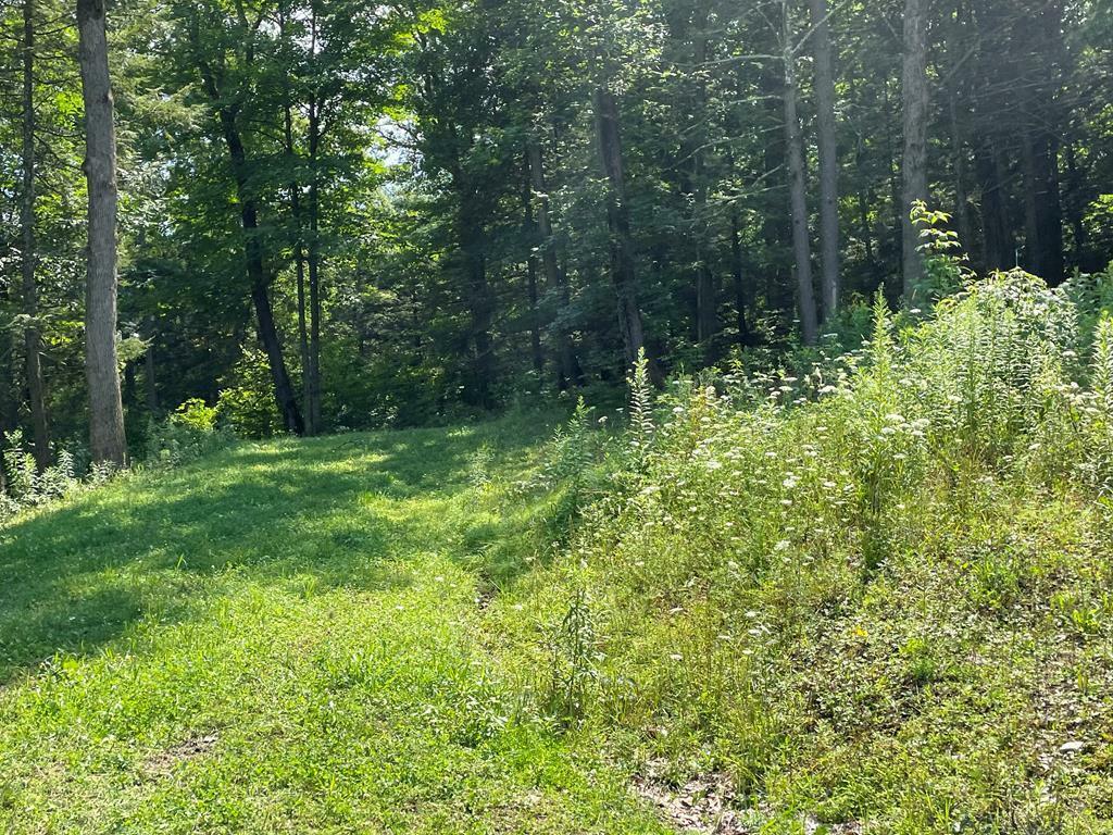 Property Photo:  Lot 43 Hemlock Hills Rd  PA 18848 