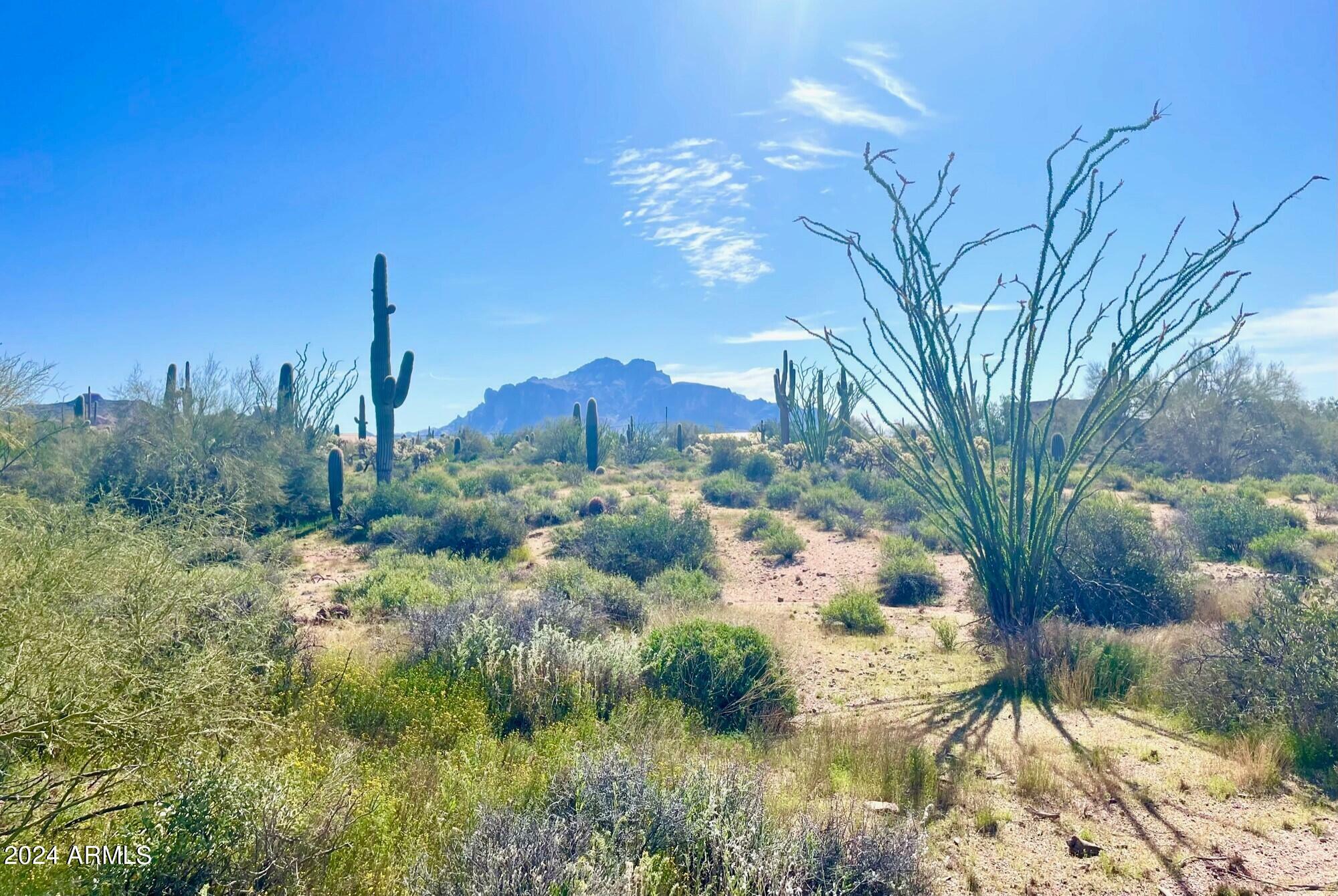 00 N Wolverine Pass Road 28  Apache Junction AZ 85119 photo