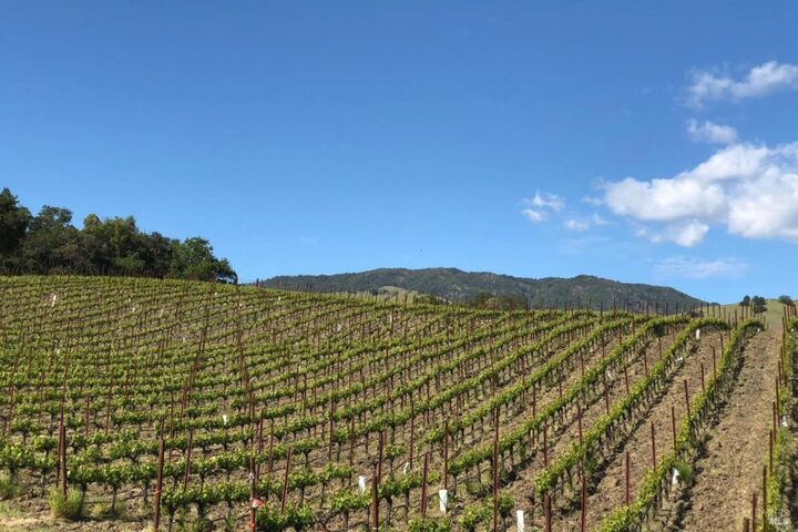 Property Photo: 577 Artisan Circle CA 95441