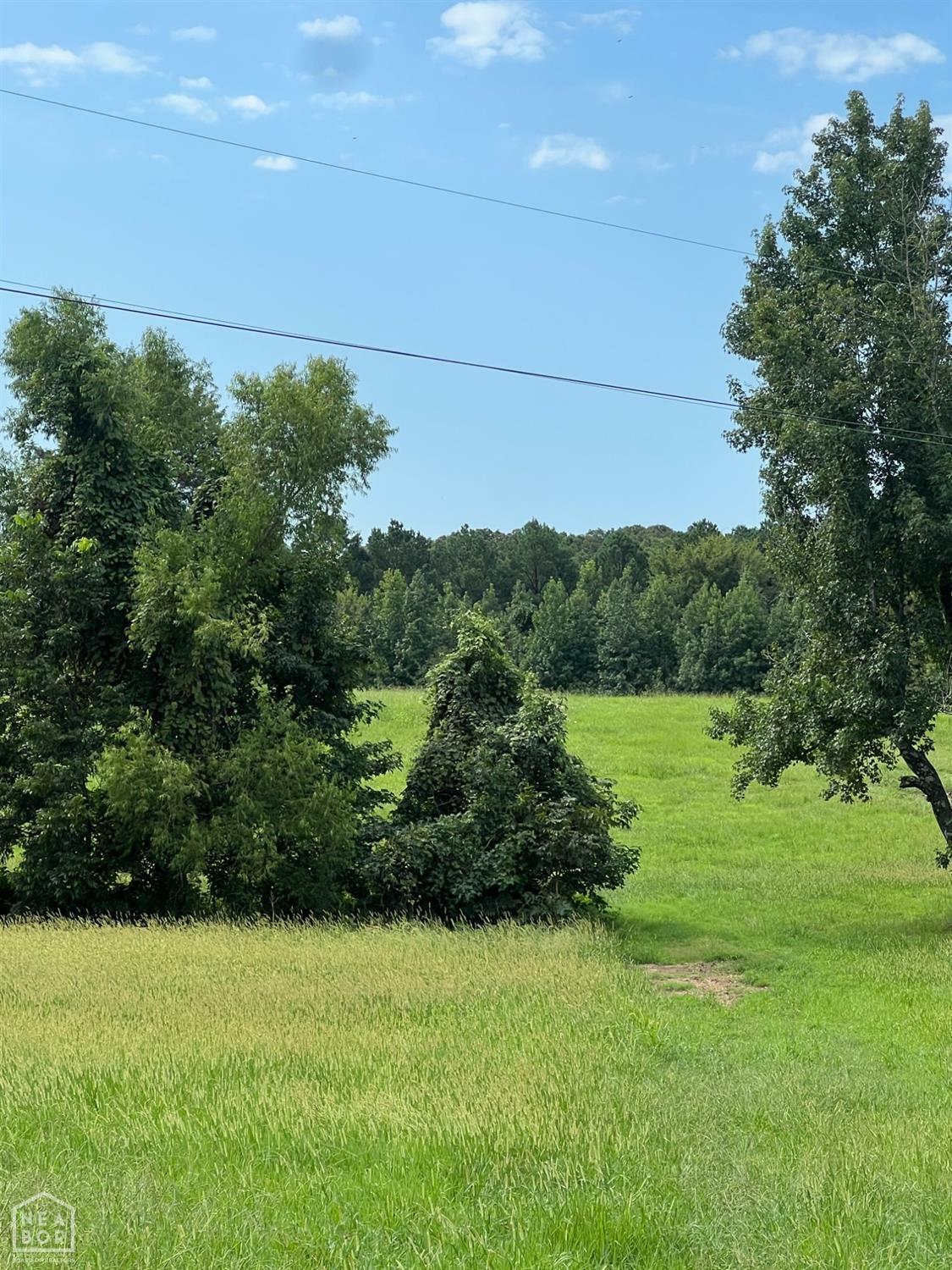 Property Photo:  1199 County Road 762  AR 72417 