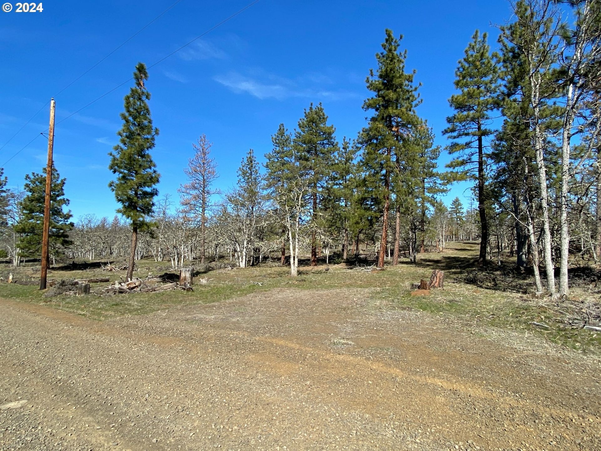 Property Photo:  D Pine Rd Lot 3  WA 98620 