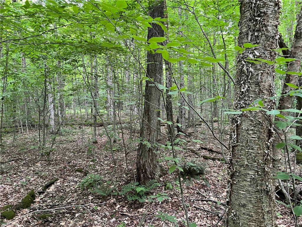 Property Photo:  00 Hawley Woods Road  NY 13040 