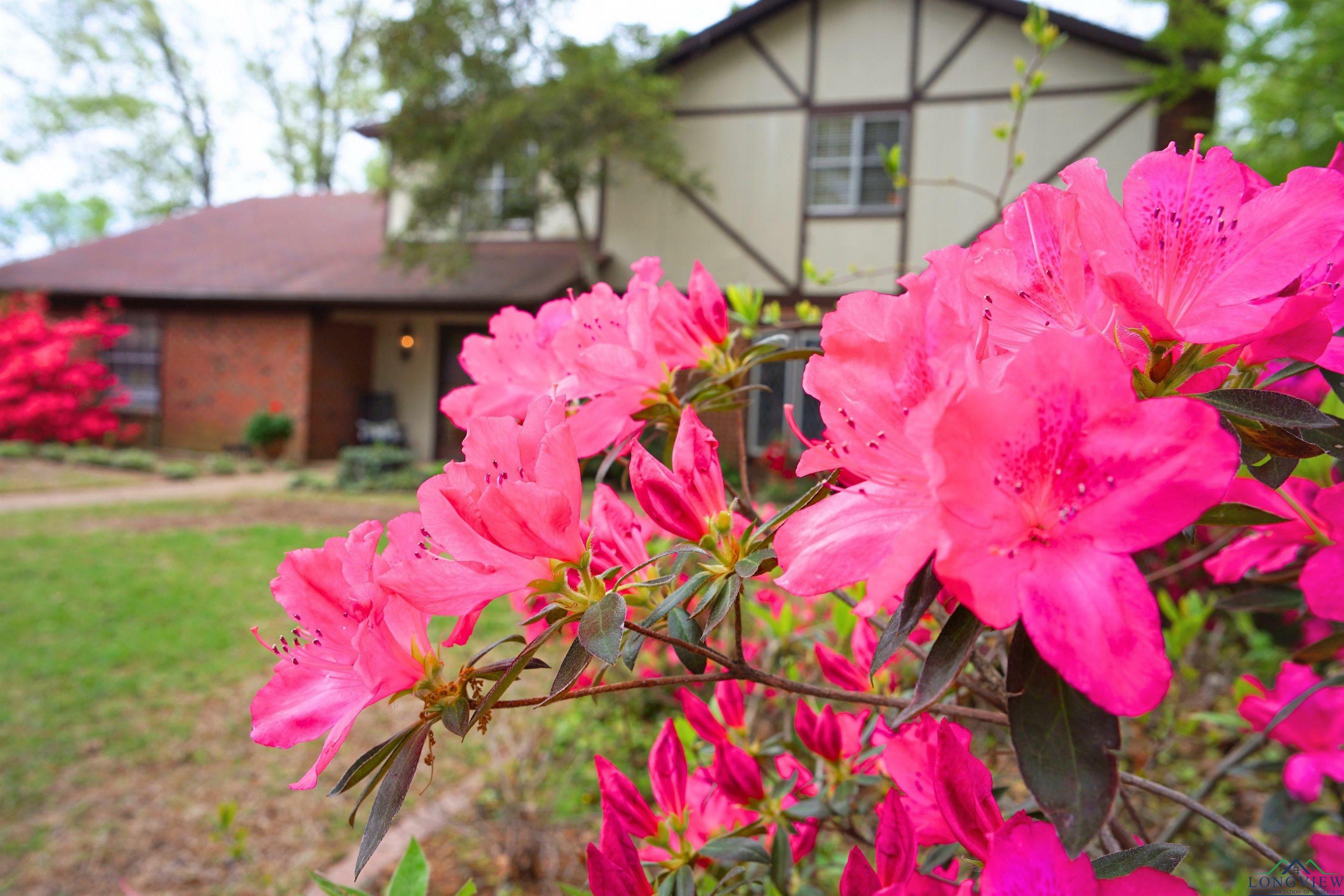 Property Photo: 1202 Stone Trail TX 75604