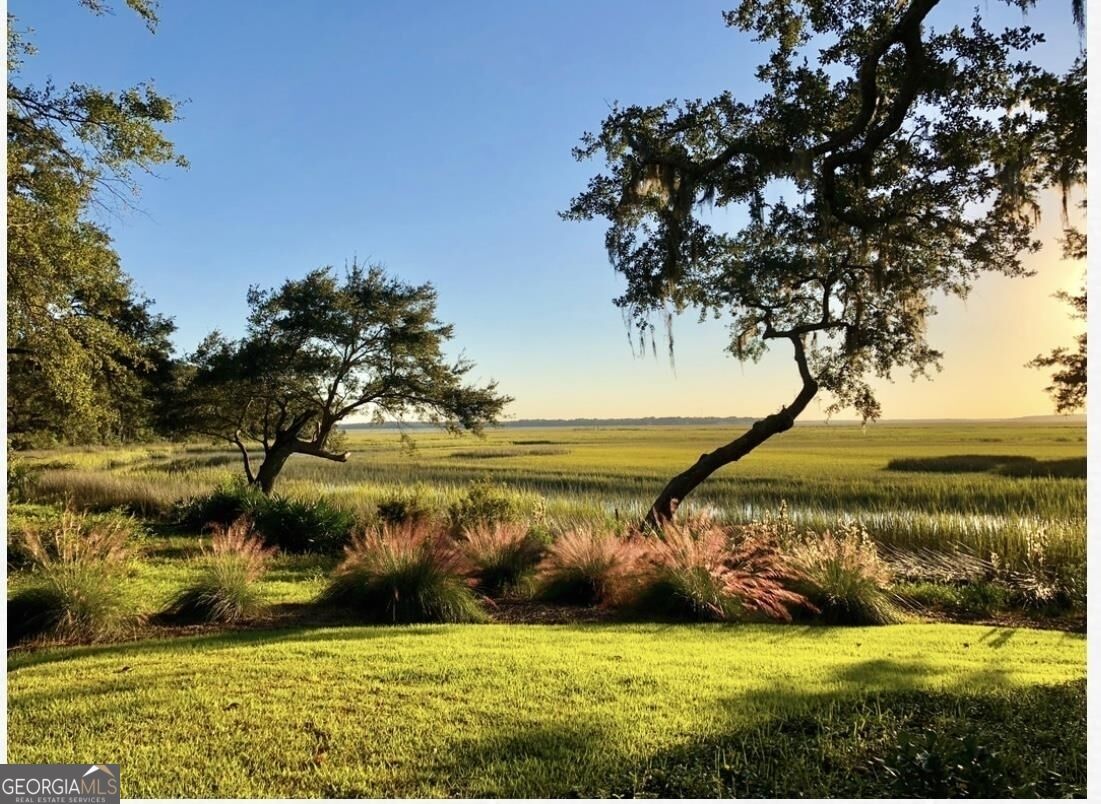 Property Photo:  Lot 3 NE Sutherland Bluff Drive  GA 31331 