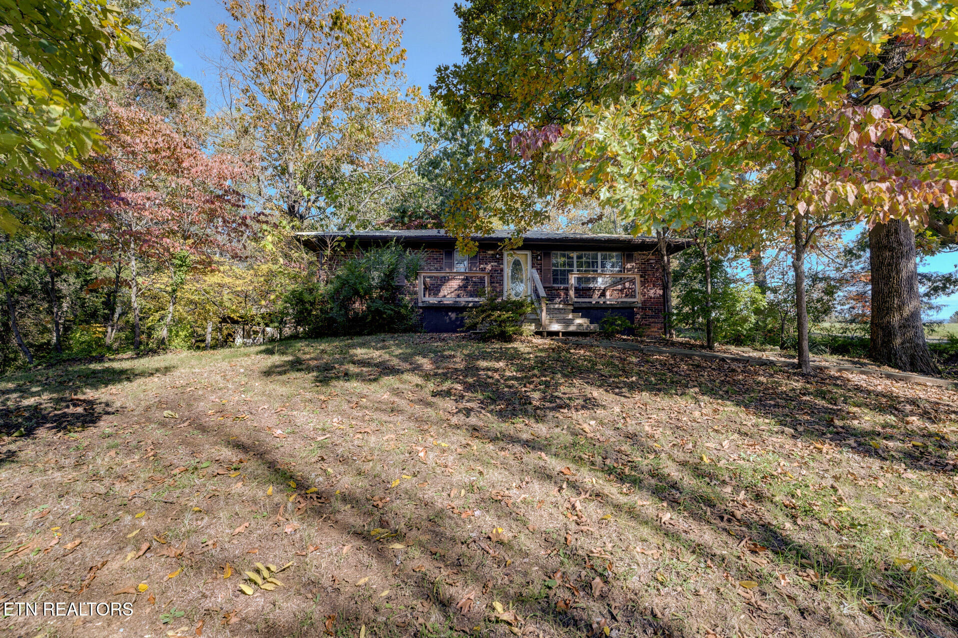 Property Photo:  154 Alfred McCammon Rd  TN 37804 