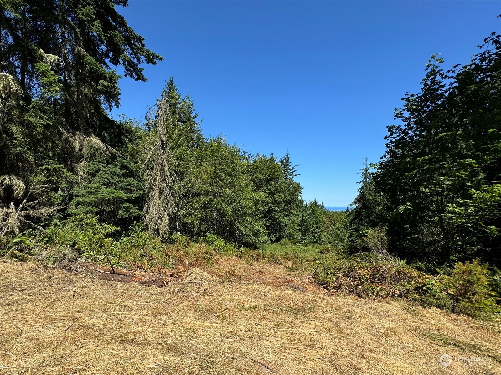 Property Photo:  9999 Township Line Road  WA 98362 