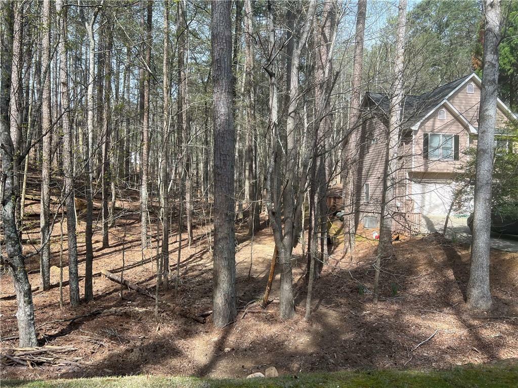 Property Photo:  230 White Antelope Street  GA 30183 