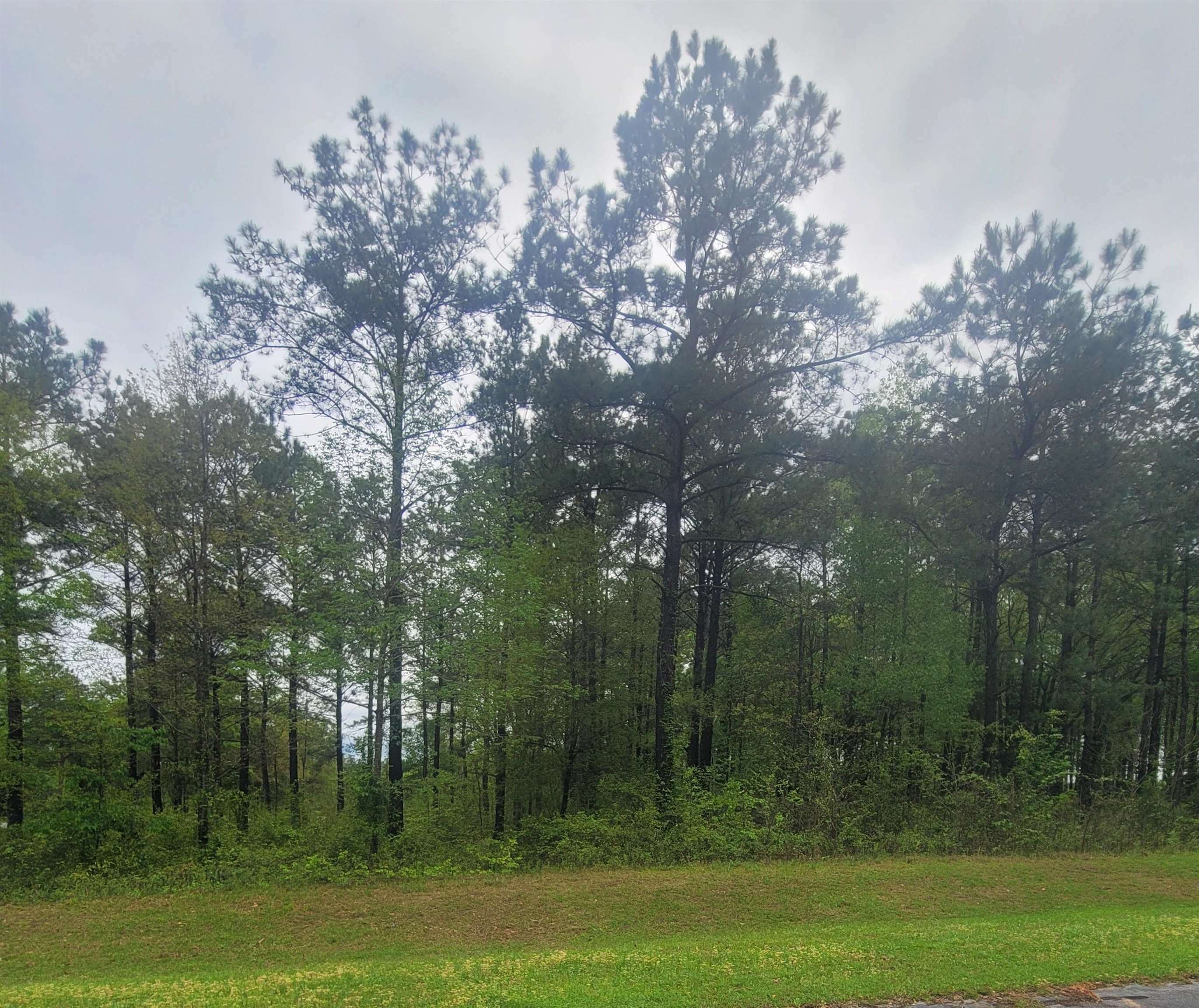 Property Photo:  Lot 4 Blk A Mountain View  GA 39819 