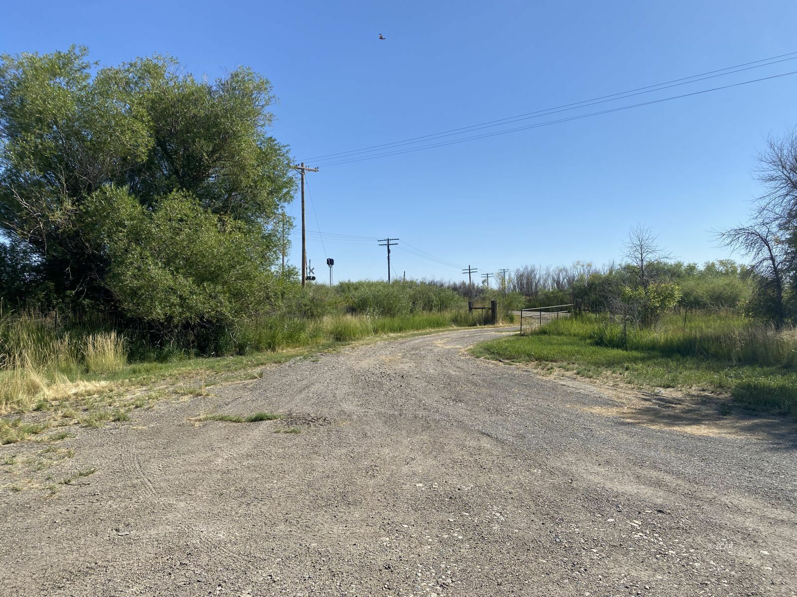 Property Photo:  450 Starr Lane  NV 89823 