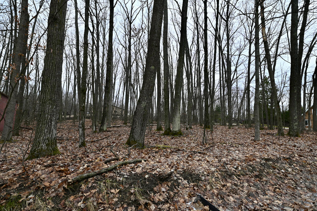 Property Photo:  61-62 Summit Road  MI 48653 