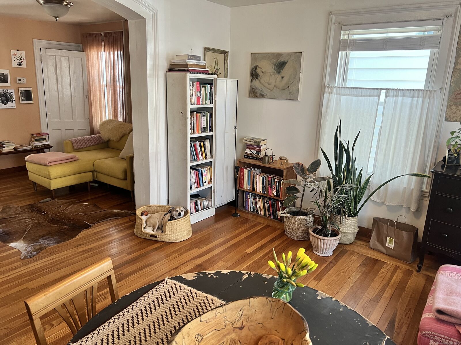 Property Photo:  34 Cottage Street Unit 1  CT 06511 