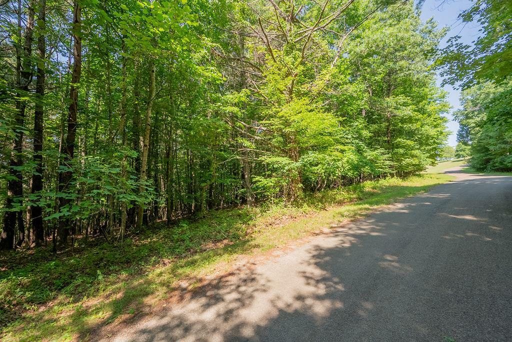 Property Photo:  Lot 14 Vista Ridge Dr  VA 24381 