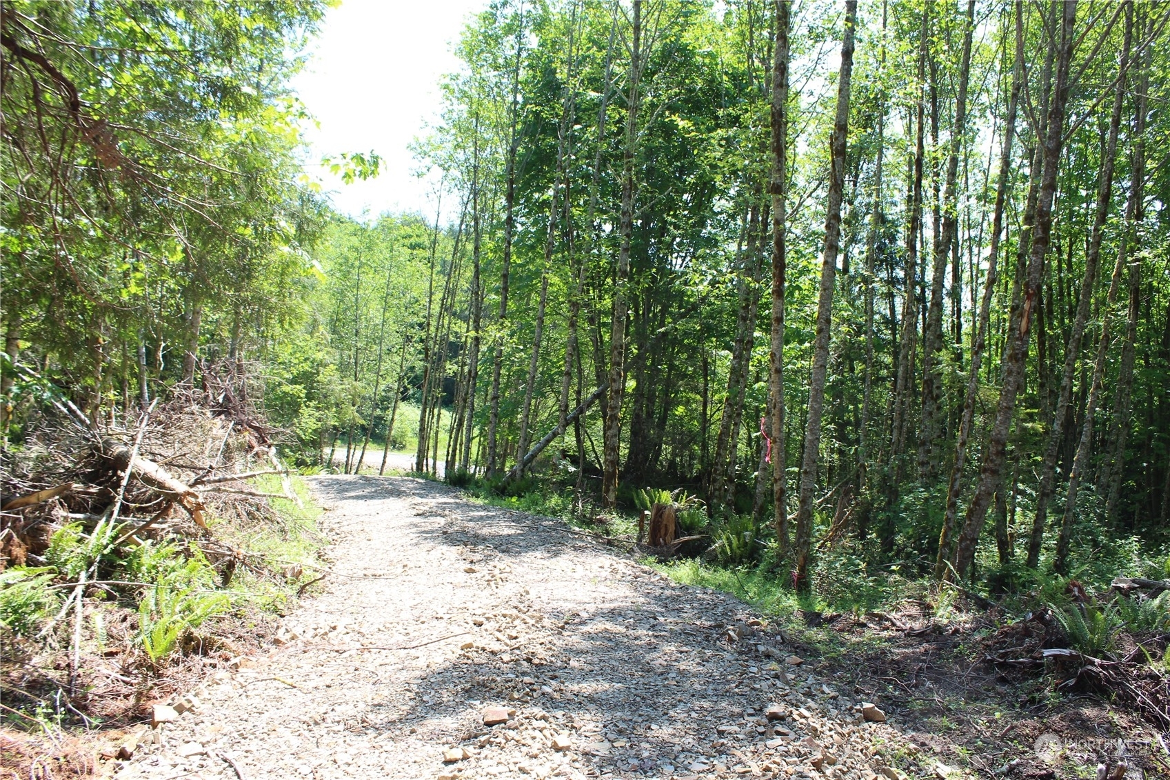 Property Photo:  0 N Bodine Road  WA 98626 