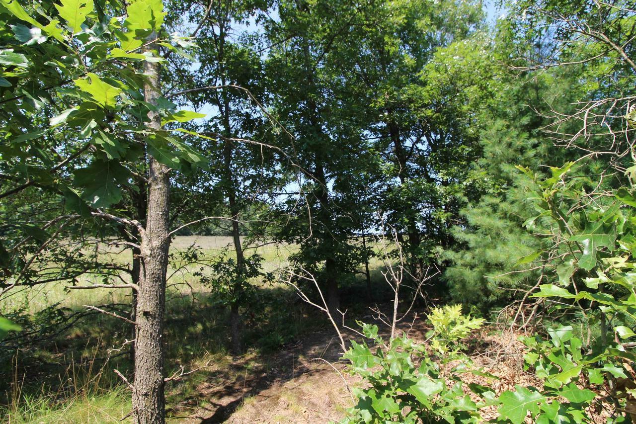 Property Photo:  Lot19 Timber Trail  WI 53588 