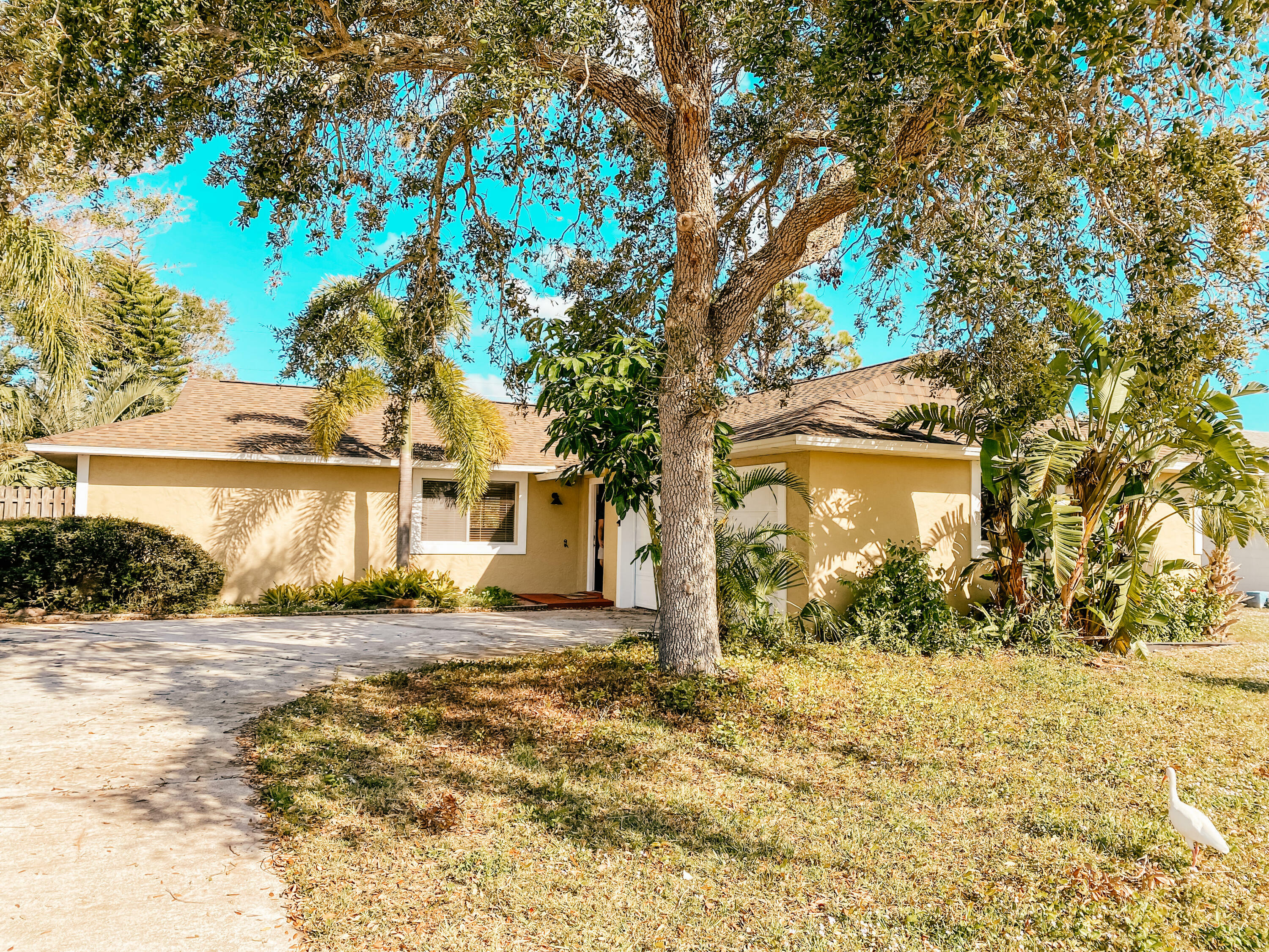 Property Photo:  1290 Johns Circle  FL 32952 