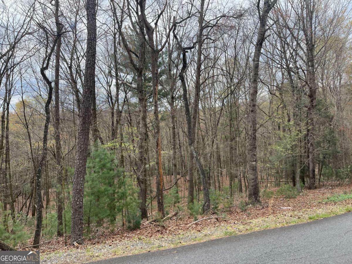 Property Photo:  Lot 298 Etowah Drive 298  GA 30540 