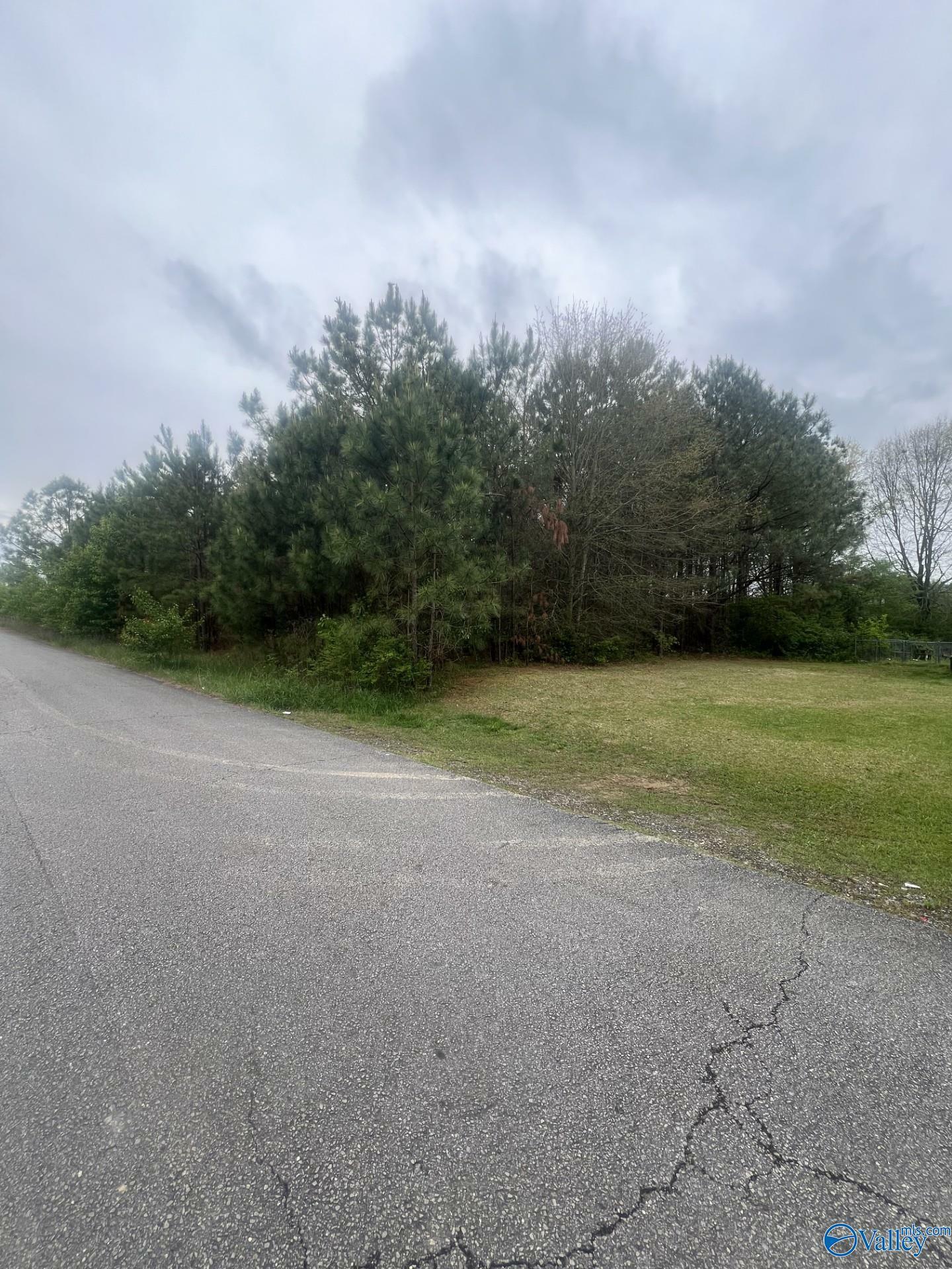 Property Photo:  Lot 6 Jennifer Lane  AL 35957 