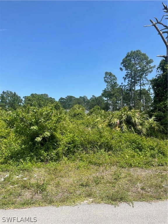 Property Photo:  767 Gaylord Avenue S  FL 33974 