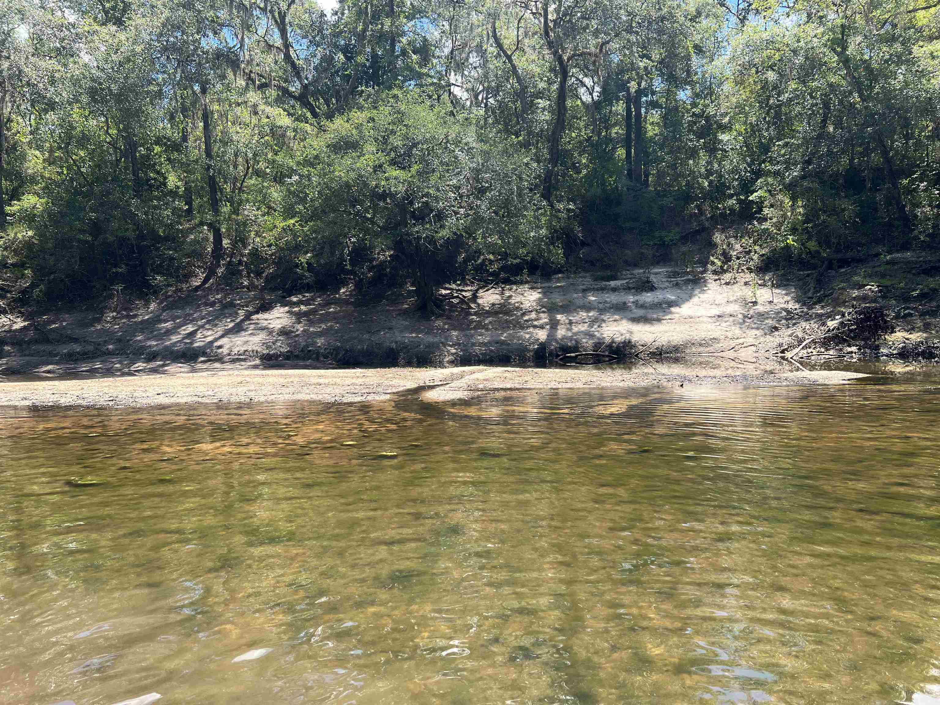 Property Photo: 00 SW County Rd. 751 FL 32052