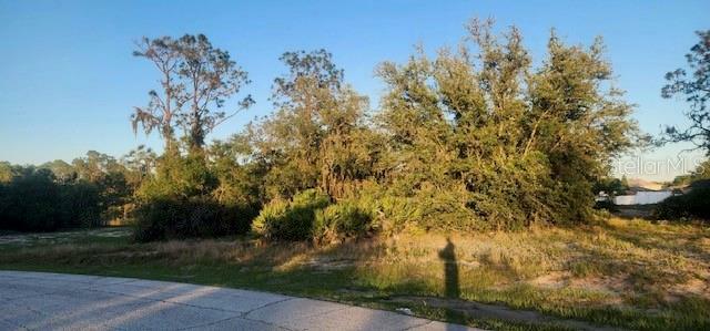 Property Photo:  1331 Congo Drive  FL 34759 