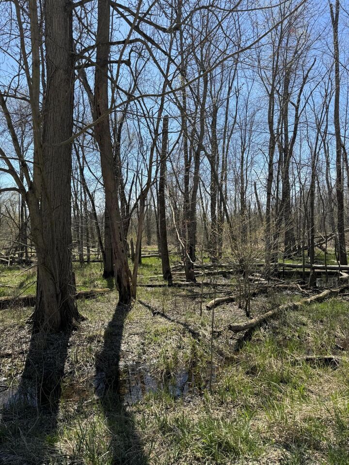 Property Photo: Vl 18th Avenue MI 49056