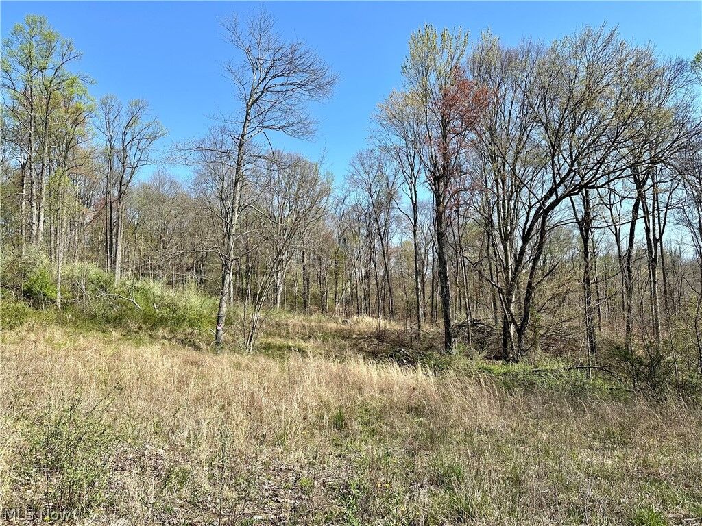 Property Photo:  Township Road 221 SE  OH 43764 