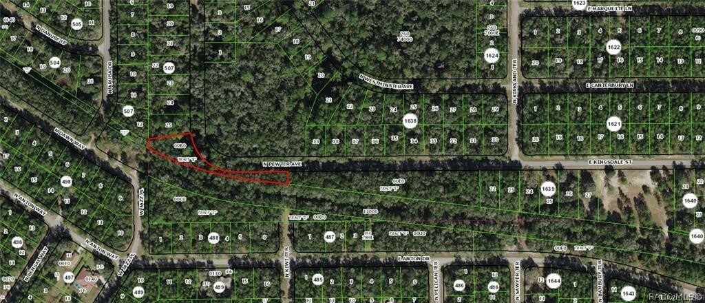 Property Photo:  9060 N Pewter Avenue  FL 34434 