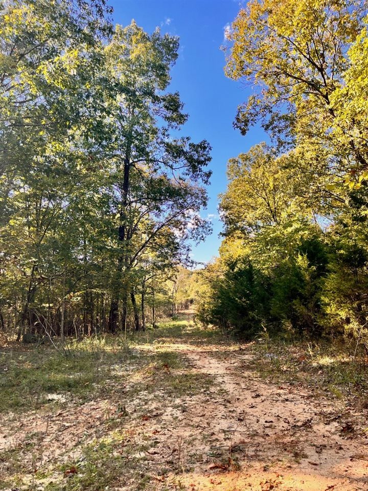 Property Photo:  0 Sportsman Club Lane  KY 42276 