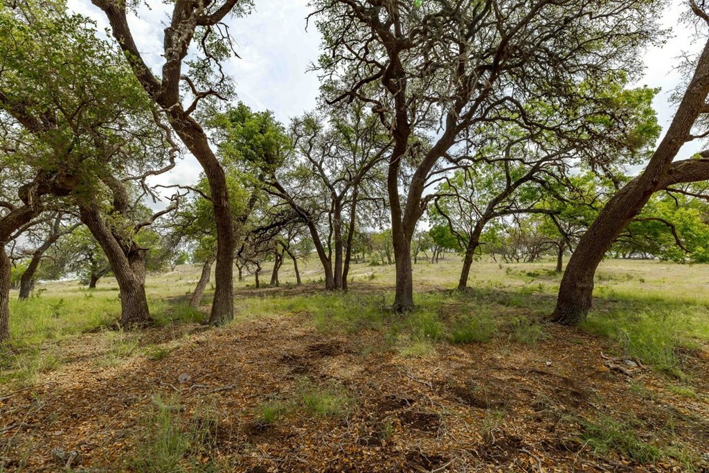 Property Photo:  Lot 11 Oakwater Dr  TX 78624 